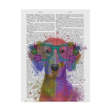 Fab Funky 'Rainbow Splash Text Weimaraner, Portrait' Canvas Art,35x47